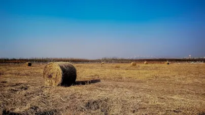 קאשולוט קזינו אפליקציה לנייד